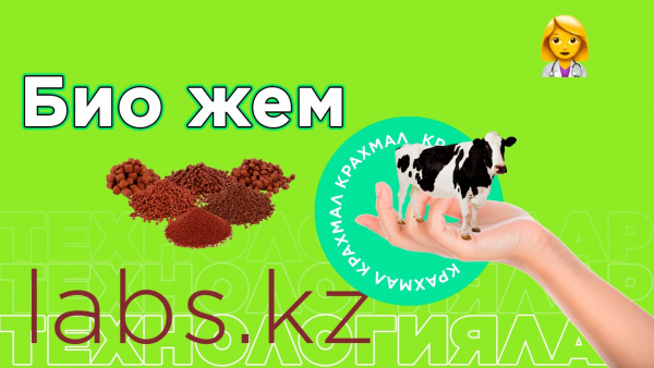 Био жем. «Labs.kz»