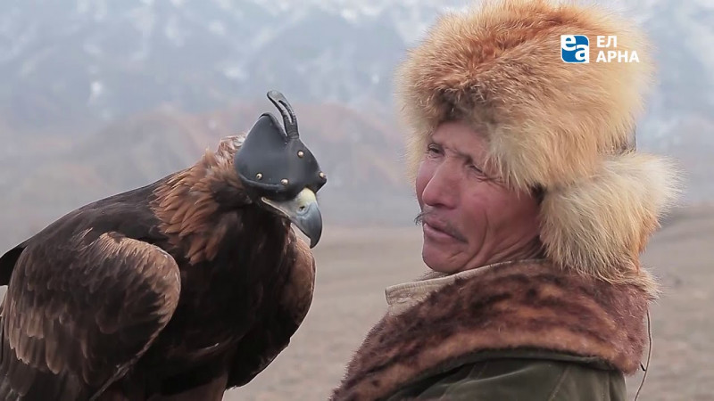 «И жизни вечный поиск». Фильм «Парящий под солнцем»