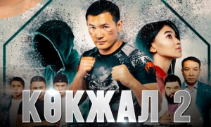 «Көкжал 2» телехикаясы