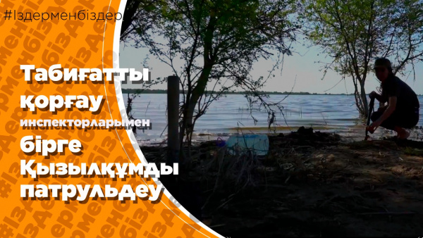 Табиғатты қорғау инспекторларымен бірге Қызылқұмды патрульдеу. «Iздер мен бiздер»