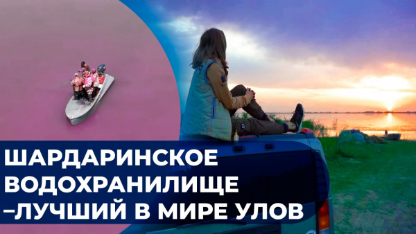 Шардаринское водохранилище –лучший в мире улов. «Команда времени»