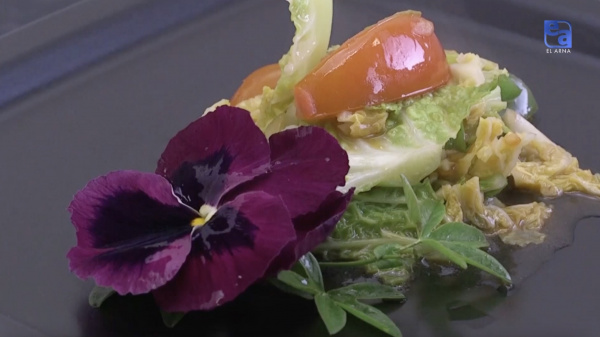 «Философия здоровья». Правильное похудение