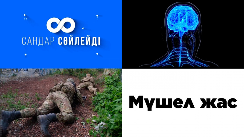 Мүшел жас: Түрік жылнамасын кім жасатты? «Сандар сөйлейді»